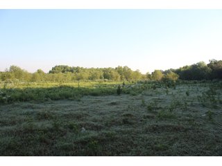 Tract 5 - Stillwater, OK farmland - EXCITING LAND AUCTION! - 128 +/- ACRES OFFERED IN 7 TRACTS OFF HIGHWAY 51 IN STILLWATER, OKLAHOMA